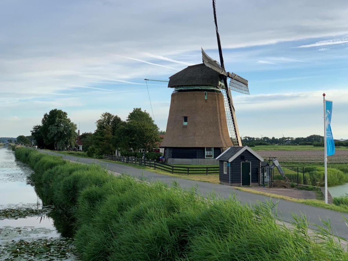 Vogelvrij, Vakantie Woning Met Landelijk Uitzicht En Geheel Omheinde Tuin Burgerbrug Dış mekan fotoğraf